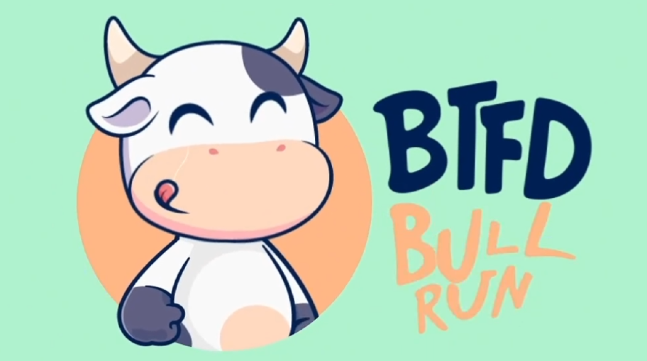BTFD Bull Run